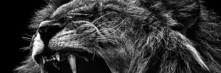 kaptain_LK's profile banner image