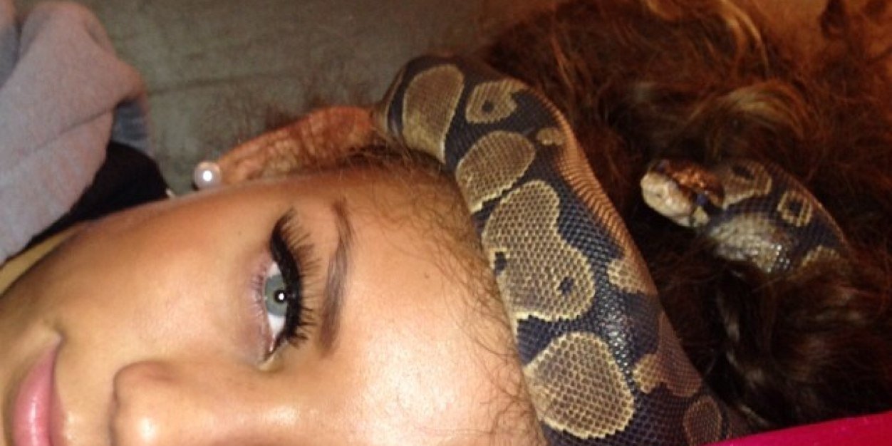 RileyDeeDee's profile banner image