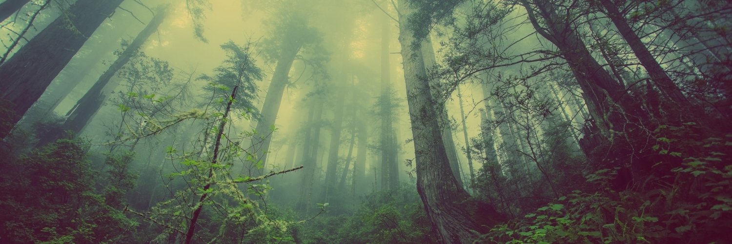 Evolvebtw's profile banner image