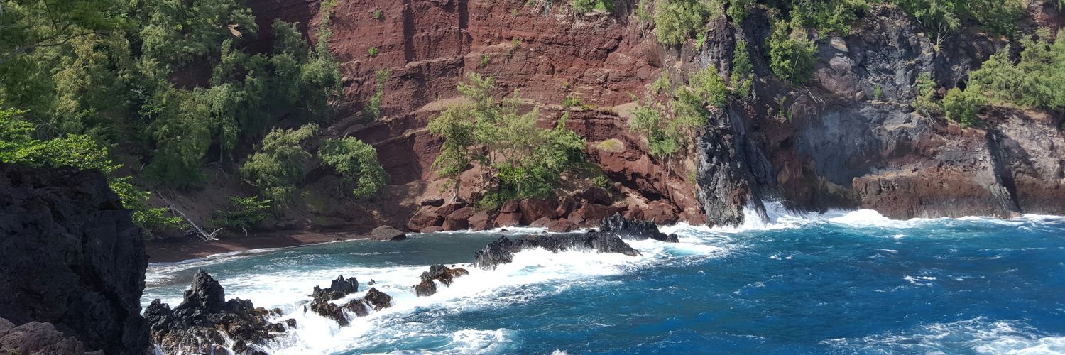MsMageePE's profile banner image