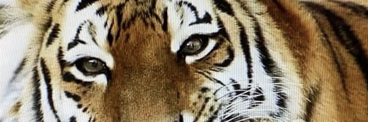 Pmicke's profile banner image