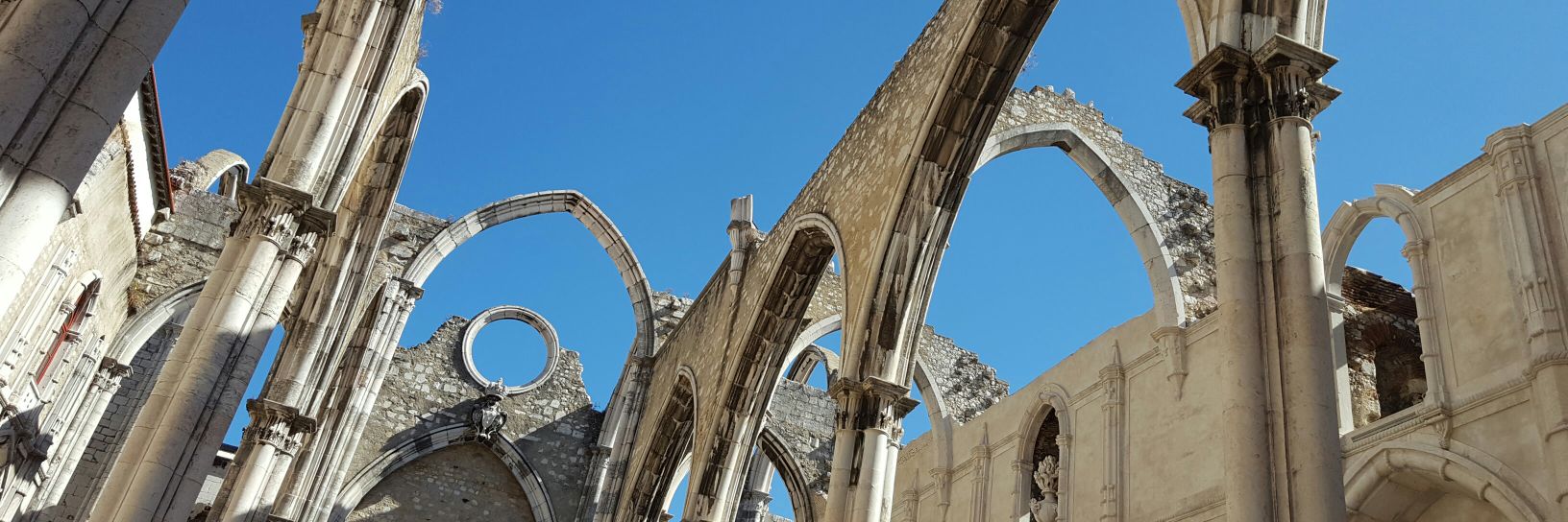 Davide L Vetrano banner