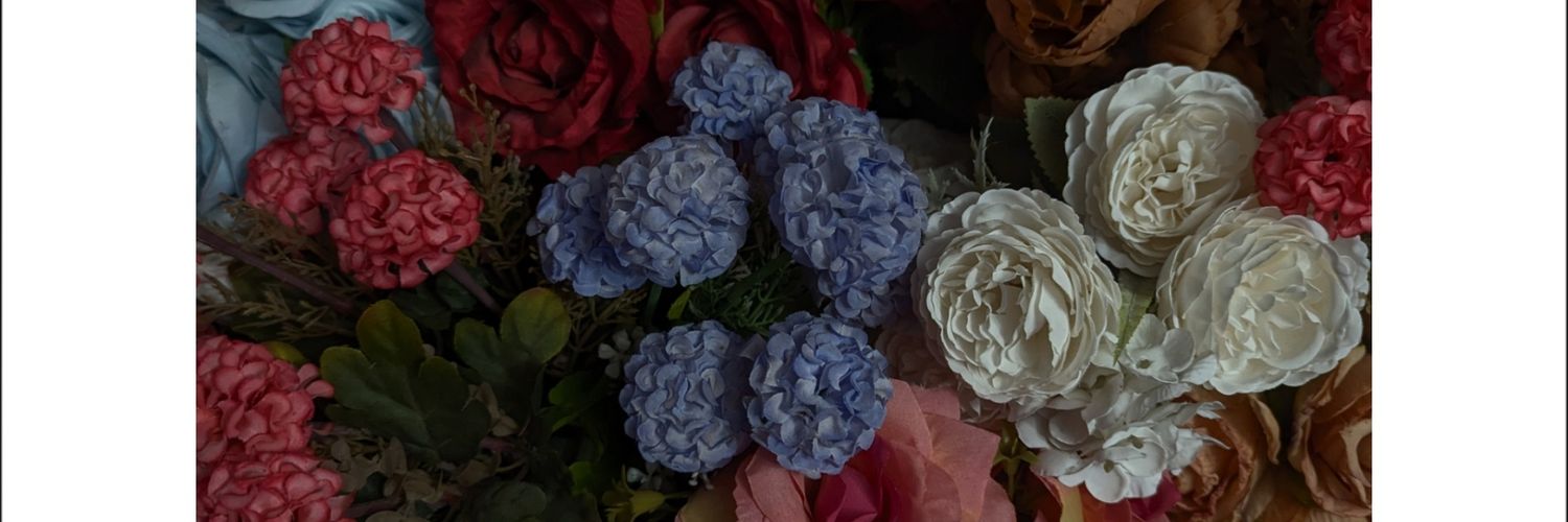 LeonardoEH_'s profile banner image
