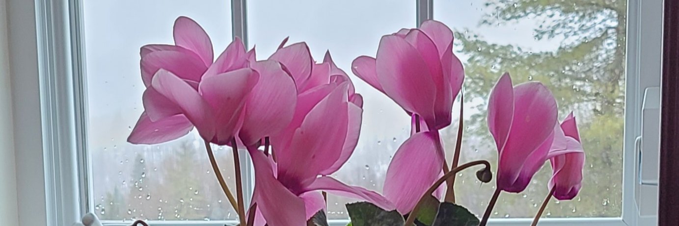 Luviane Simard banner