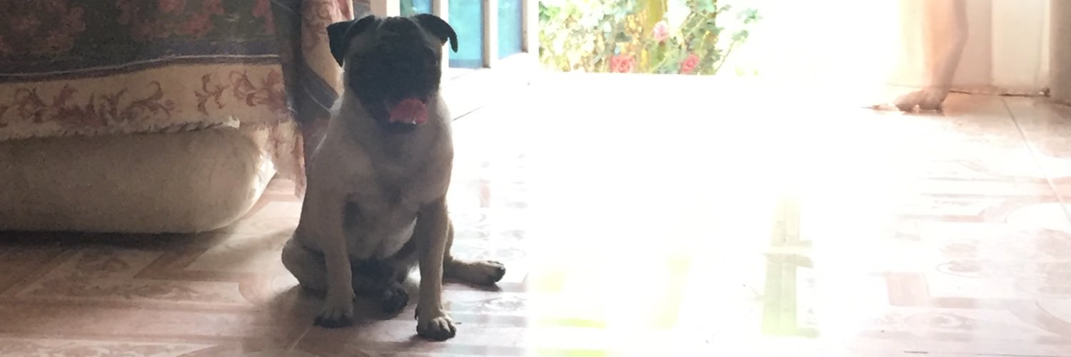 CaroolGP's profile banner image