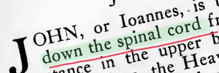 Aaron Mandorla banner