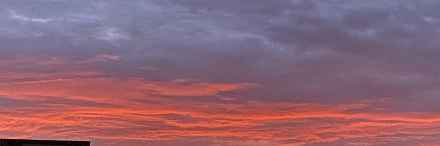 Minniepinheiro's profile banner image