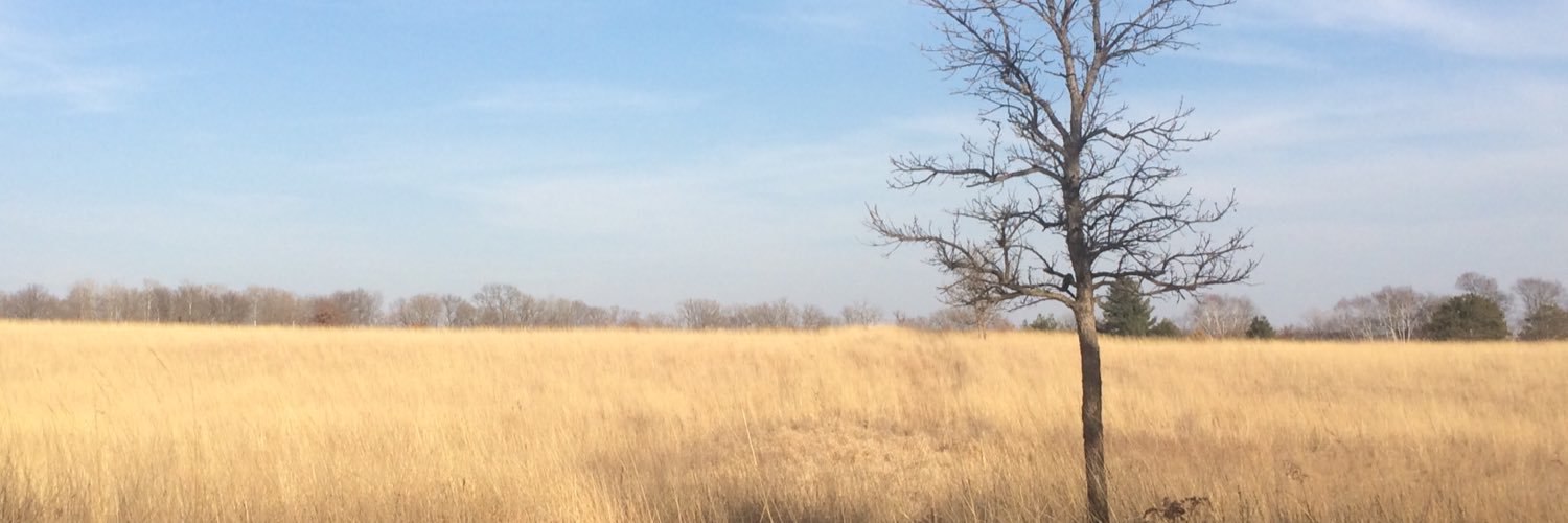 JessMBarry's profile banner image