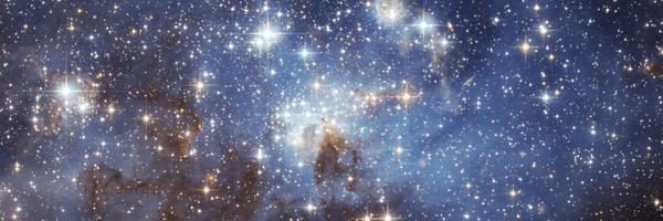 anipopy Profile Banner