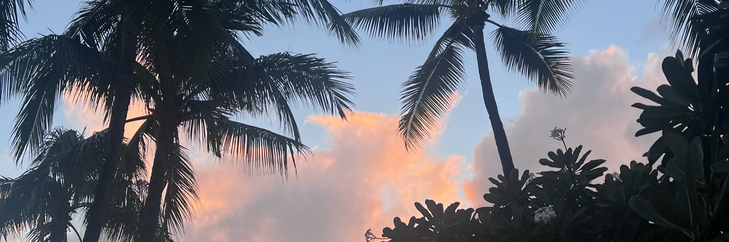 LindaaaCee's profile banner image