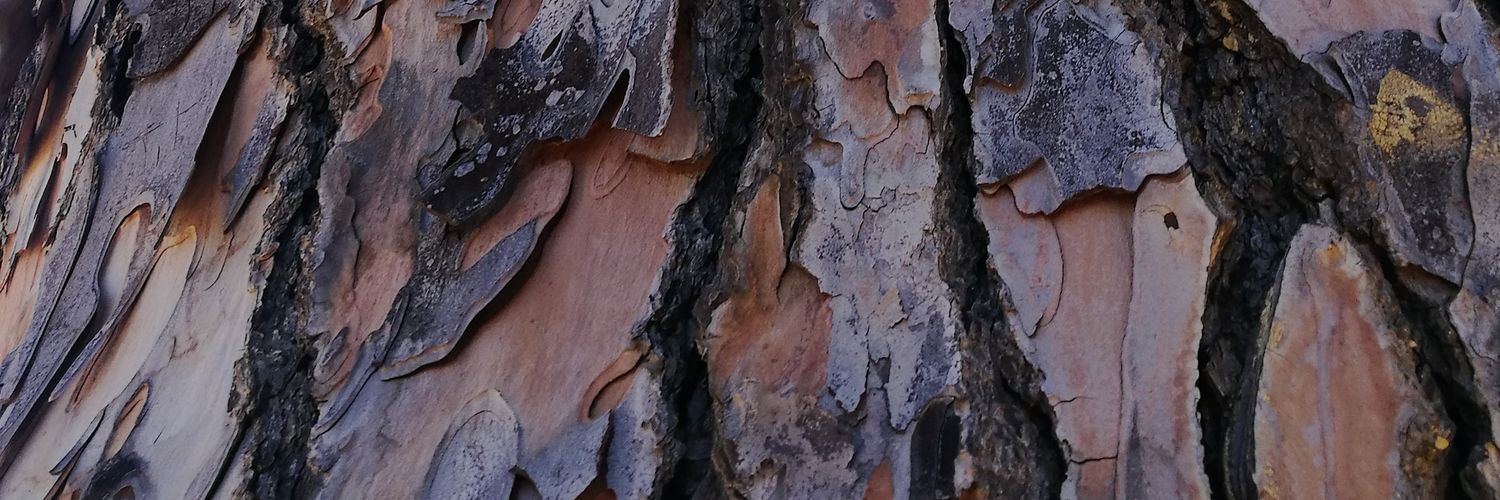 FreakGOD_'s profile banner image