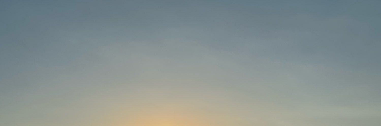vitulloisa's profile banner image