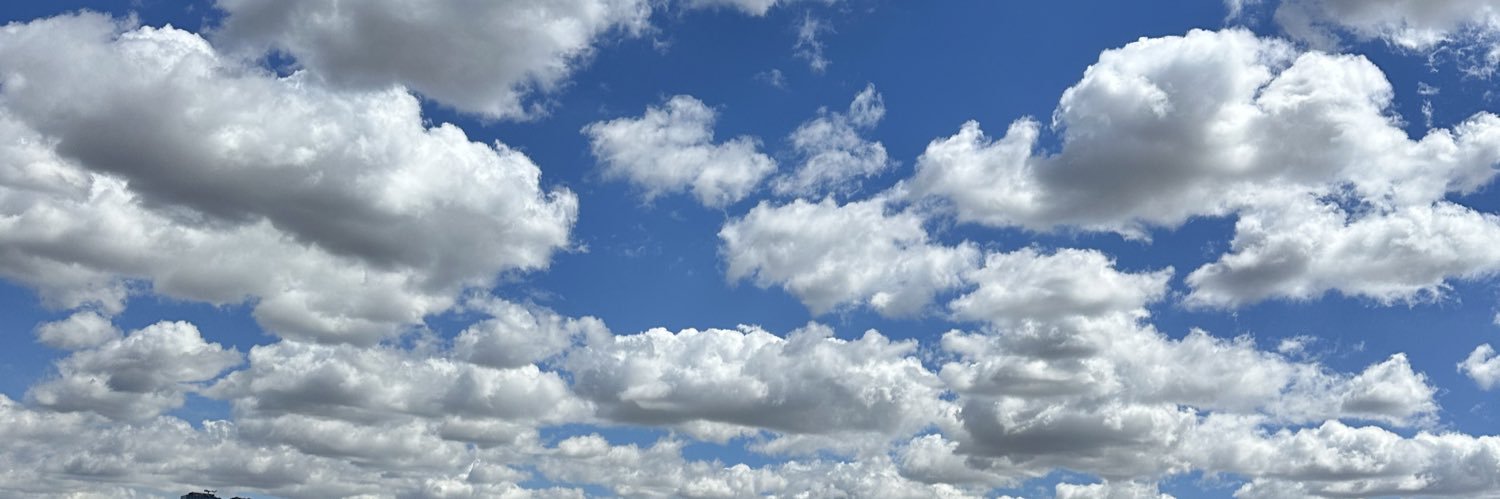 Héloïse Léon-Lesoult banner