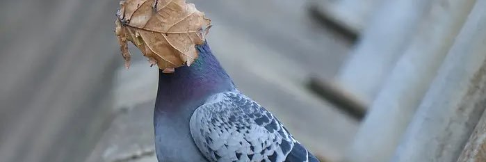 Ken__zZ's profile banner image