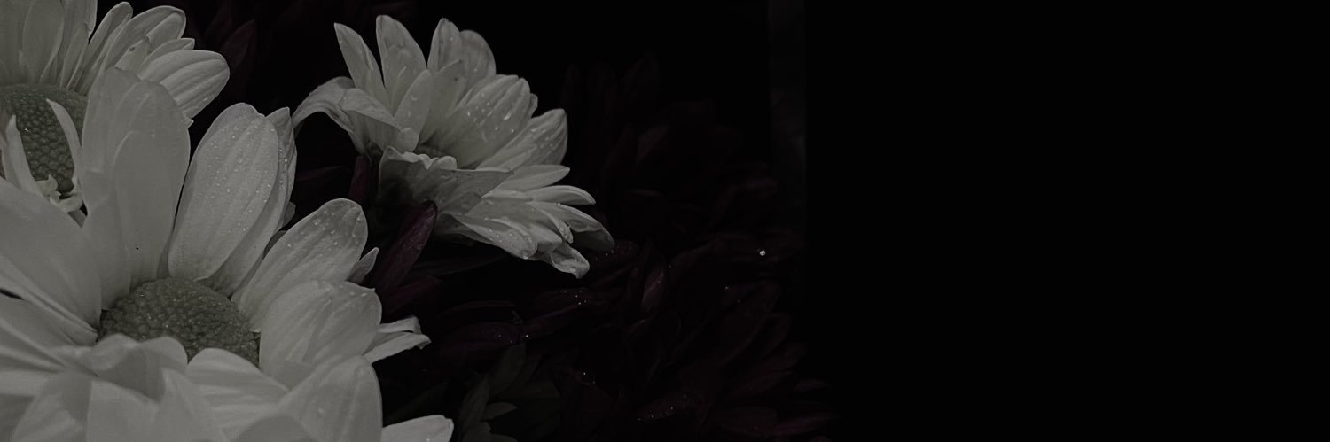 asara' ! banner