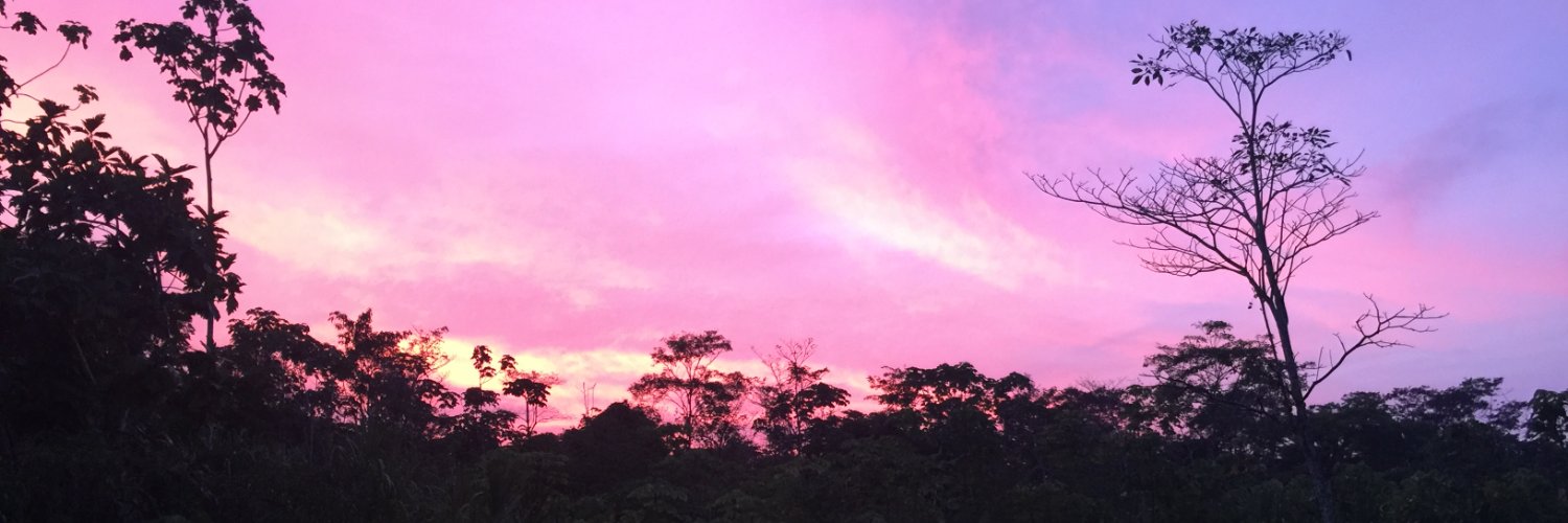 LauriAguilera's profile banner image
