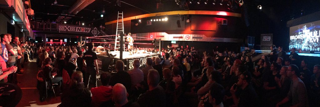 Ringfuchs Podcast banner