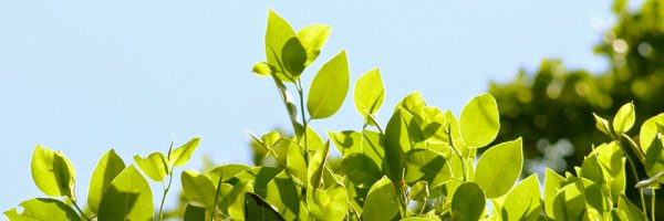 mvaaff Profile Banner