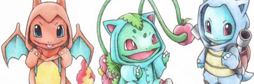 Ashley Canada banner