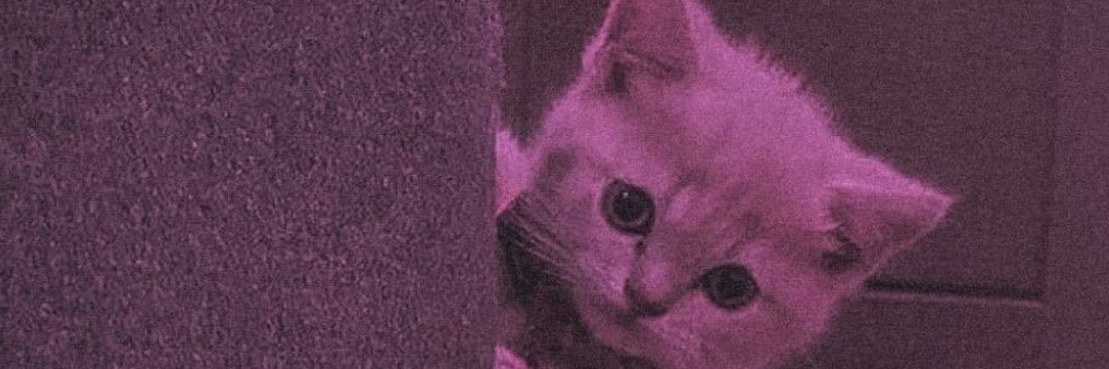 hmdce's profile banner image