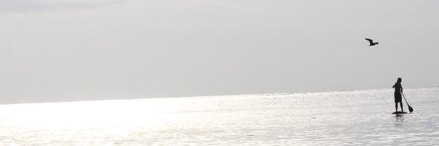 Kimo banner