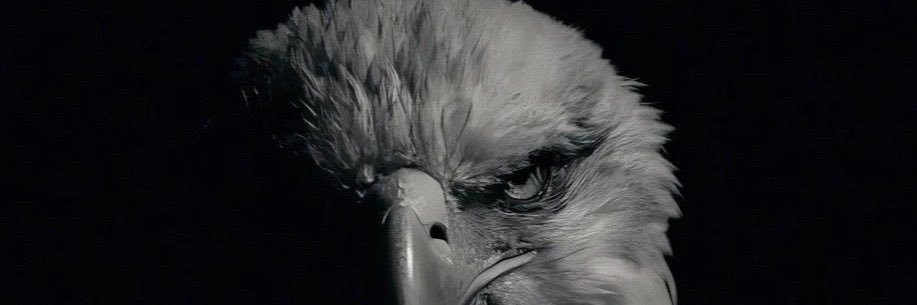 خالد المهوس banner