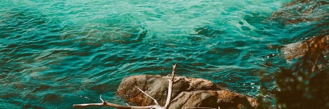 jaelmattos's profile banner image