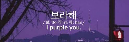 아미 ☯️✨🍞🚗 banner