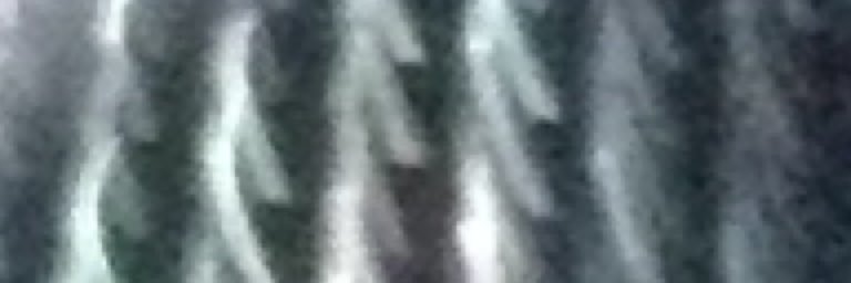 BradyShep's profile banner image