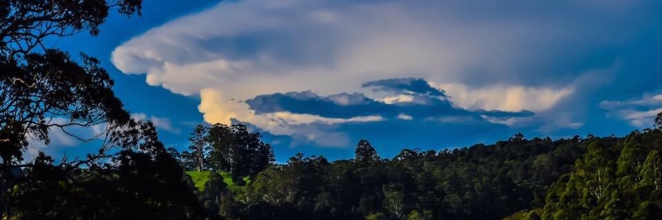 Drew 🐶🍺🎼🍷🏍🥃🎸 🏴󠁧󠁢󠁳󠁣󠁴󠁿🏏 🇵🇸 banner