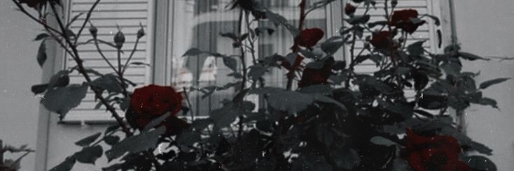 ahmtokta's profile banner image