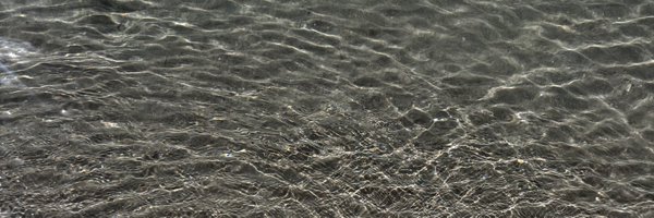 relonoshi Profile Banner