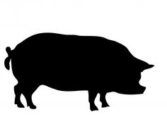 BallHogie's profile banner image