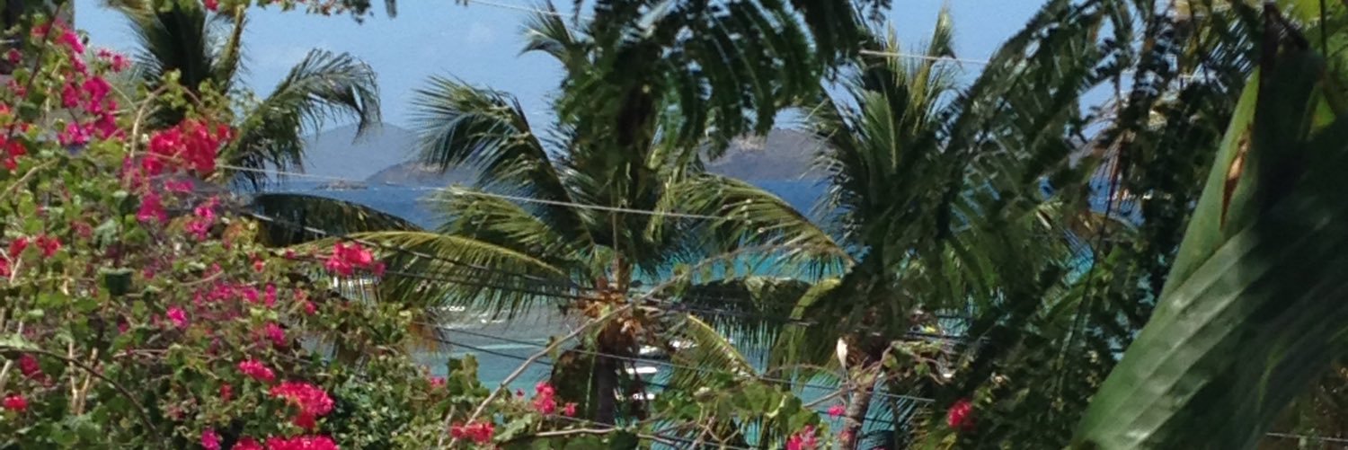 Jennifer Potter banner