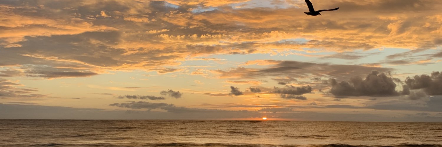 romonetti's profile banner image