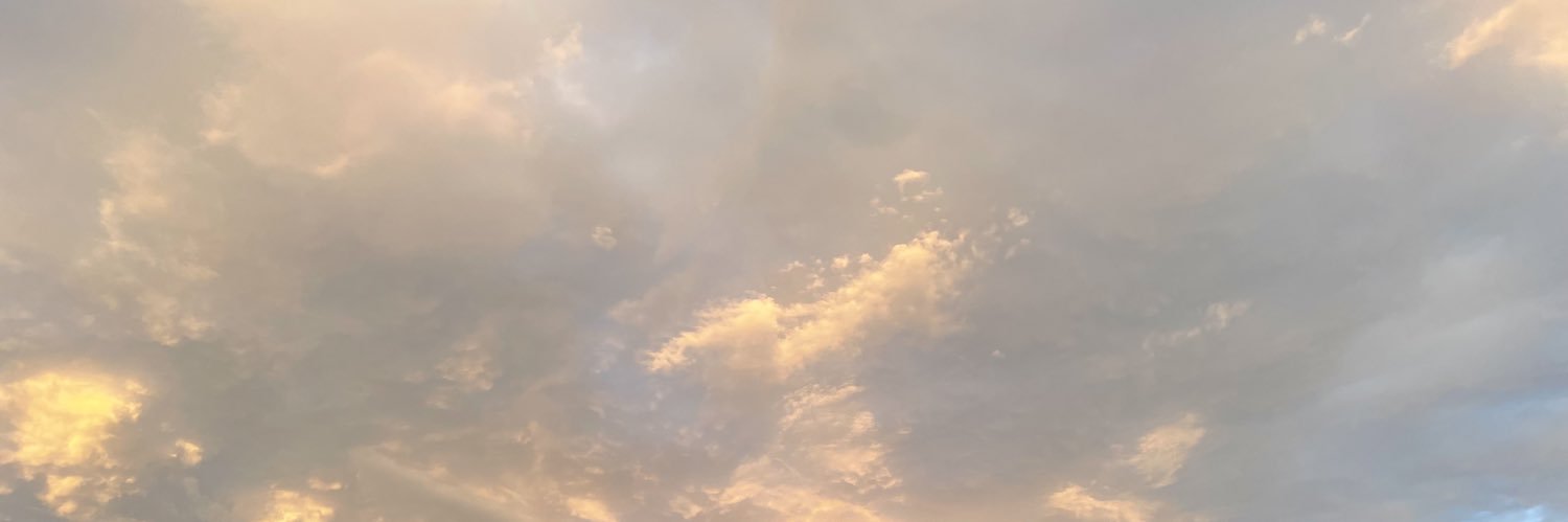 CharlieMichener's profile banner image
