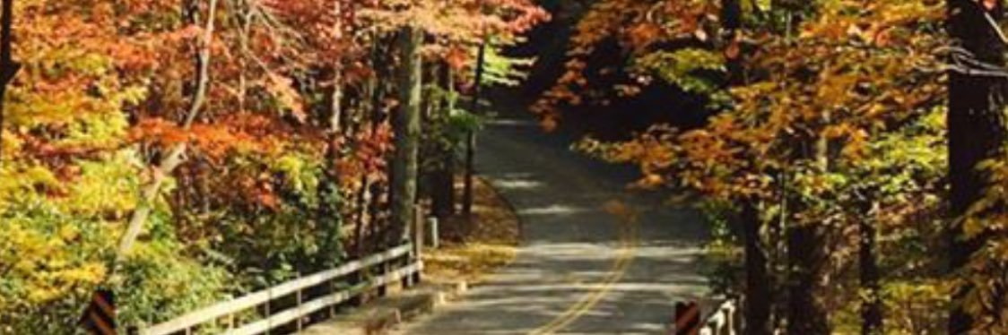 smiles336 banner