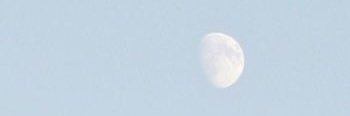 𝐉𝐚𝐝𝐞𝐝 𝐒. 𝐂𝐚𝐫𝐭𝐞𝐫 banner
