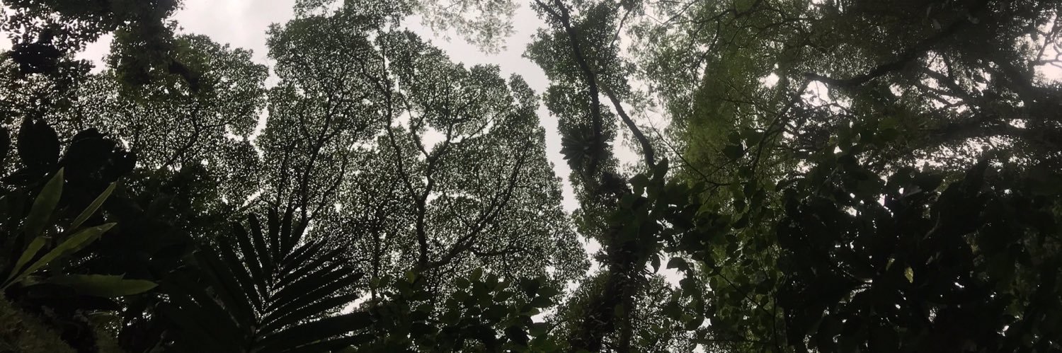 kyleemacke2's profile banner image