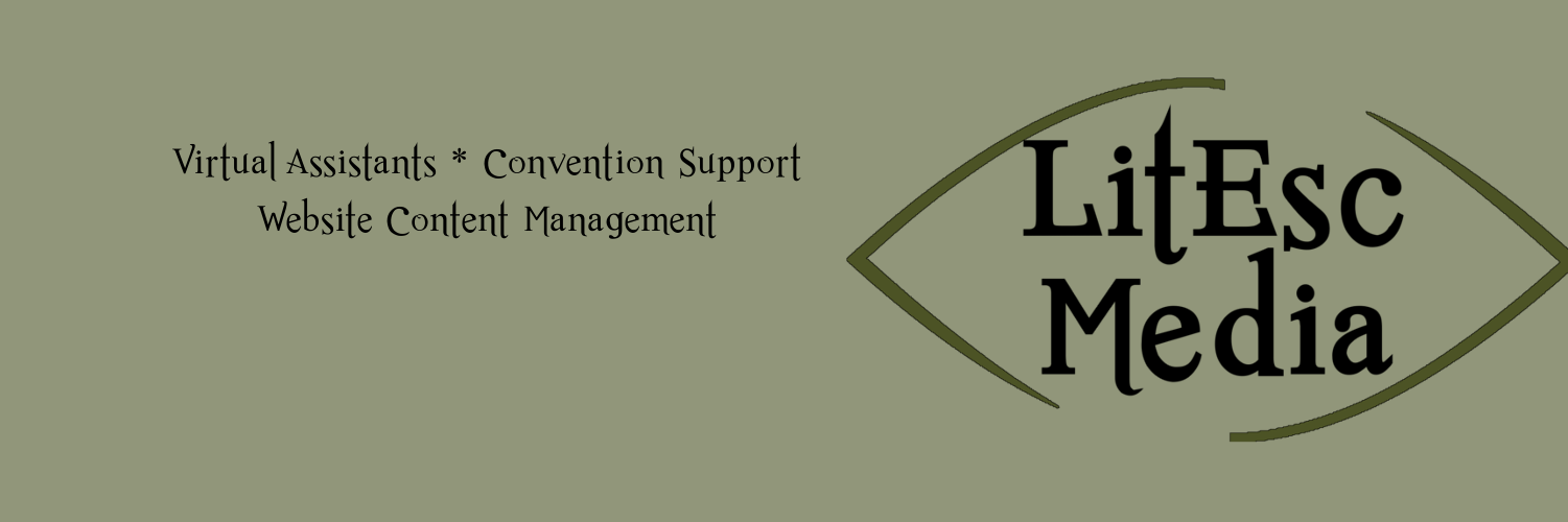 LitEscMedia's profile banner image