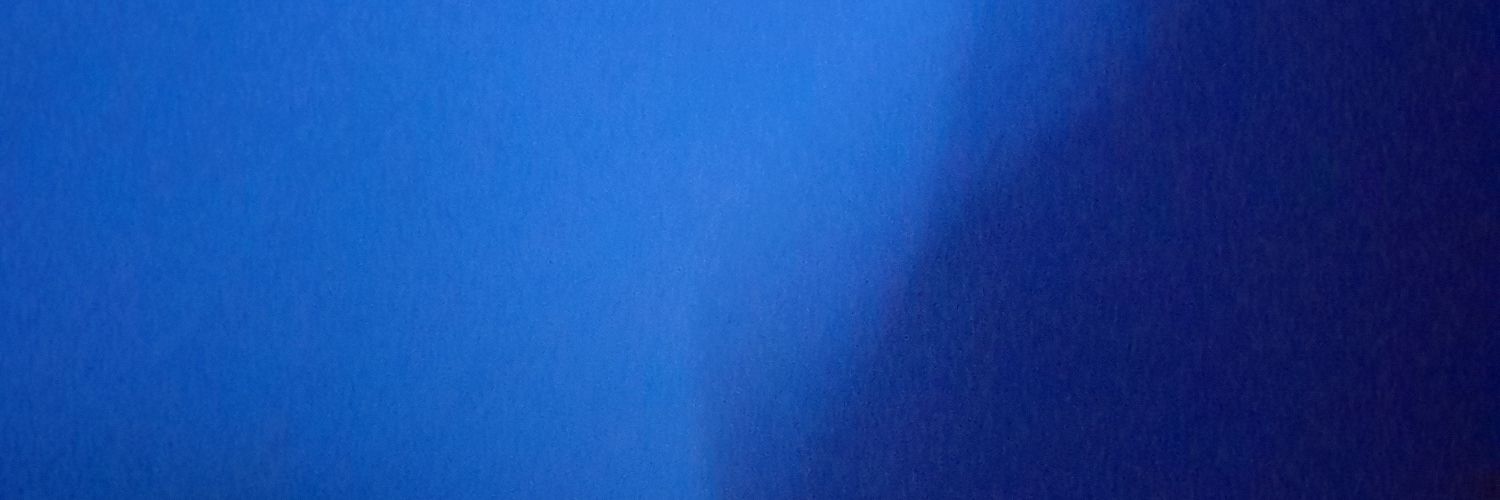 anaafonso19's profile banner image