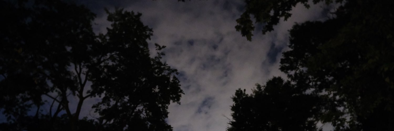FeverTheGhost's profile banner image