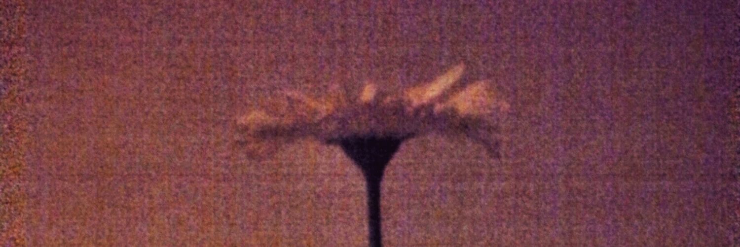 IVAaRossA's profile banner image
