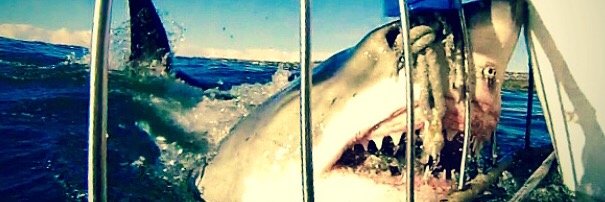 laneyhixson's profile banner image