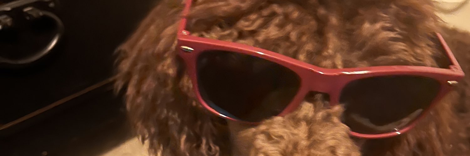 _TheRealDyl's profile banner image