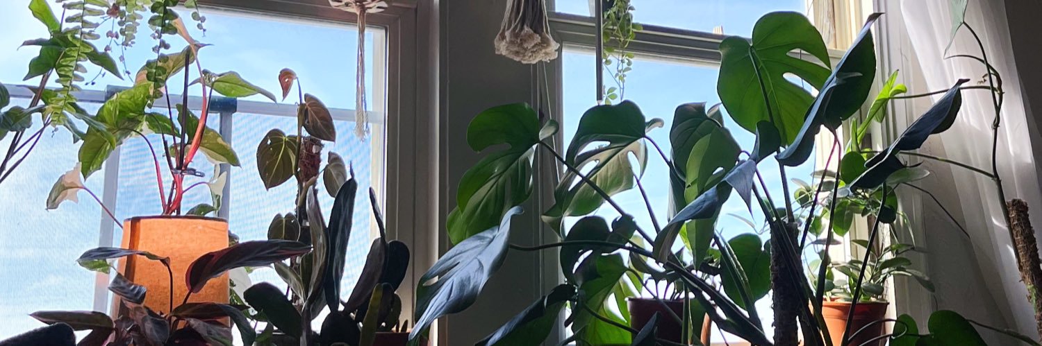 rachw17's profile banner image