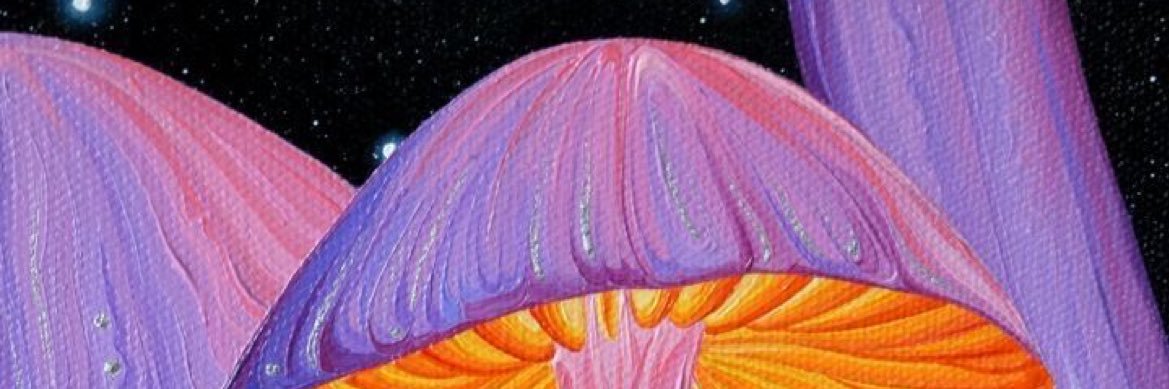 La_Pastri's profile banner image