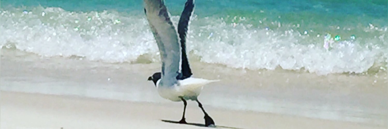 PattiStephens73's profile banner image