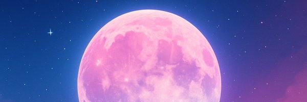 sashaaa Profile Banner