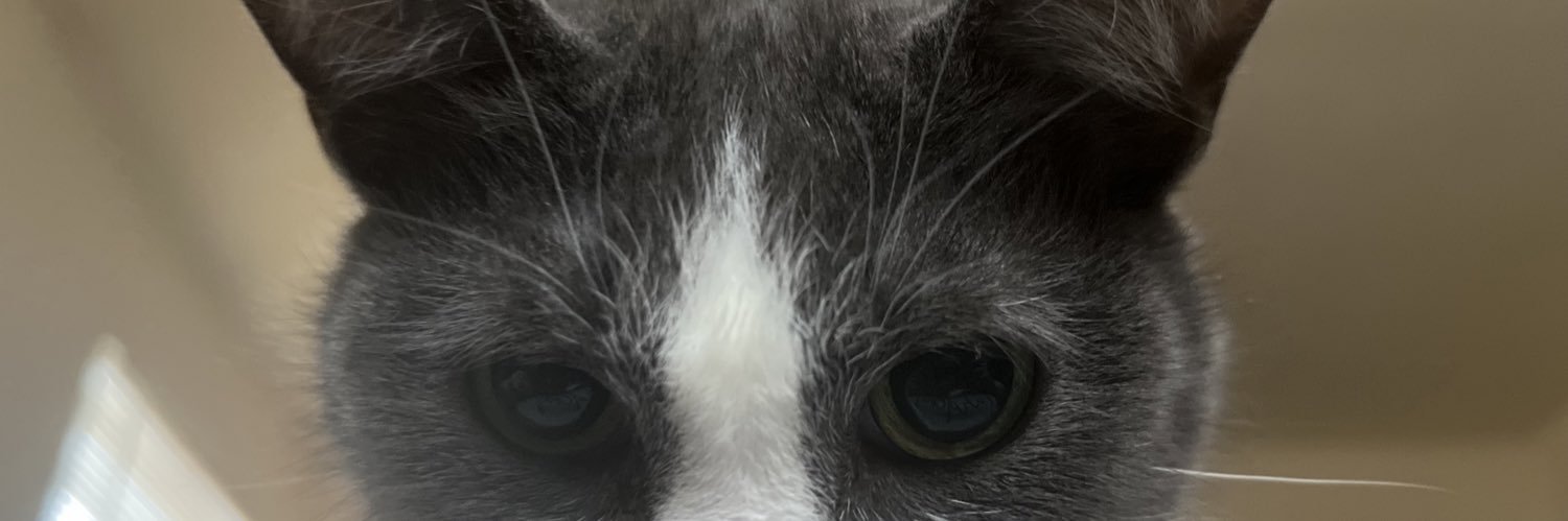 taylor_sumiko's profile banner image